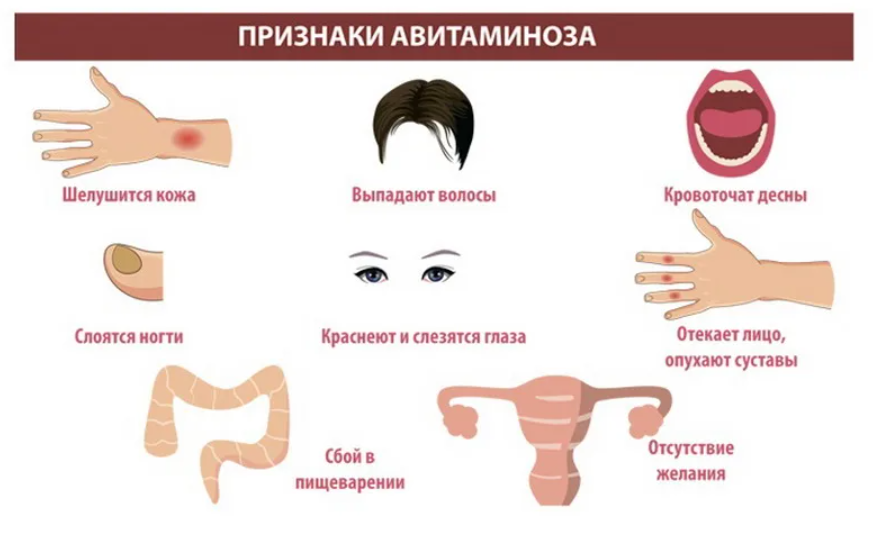 Признаки авитаминоза у собаки