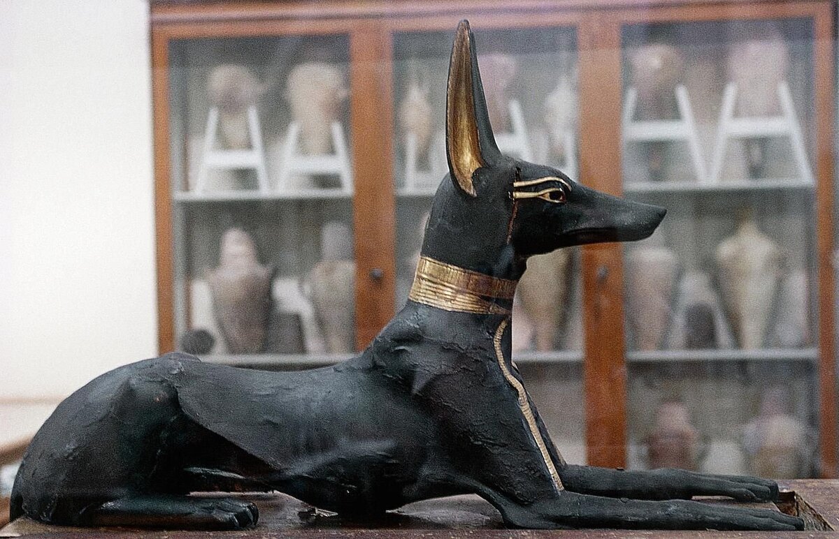 Египет собака