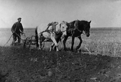 Фото из открытого доступа сети Интернет