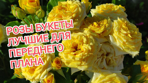 Доставка цветов Киев: закажи букет в магазине ProFlowers.ua