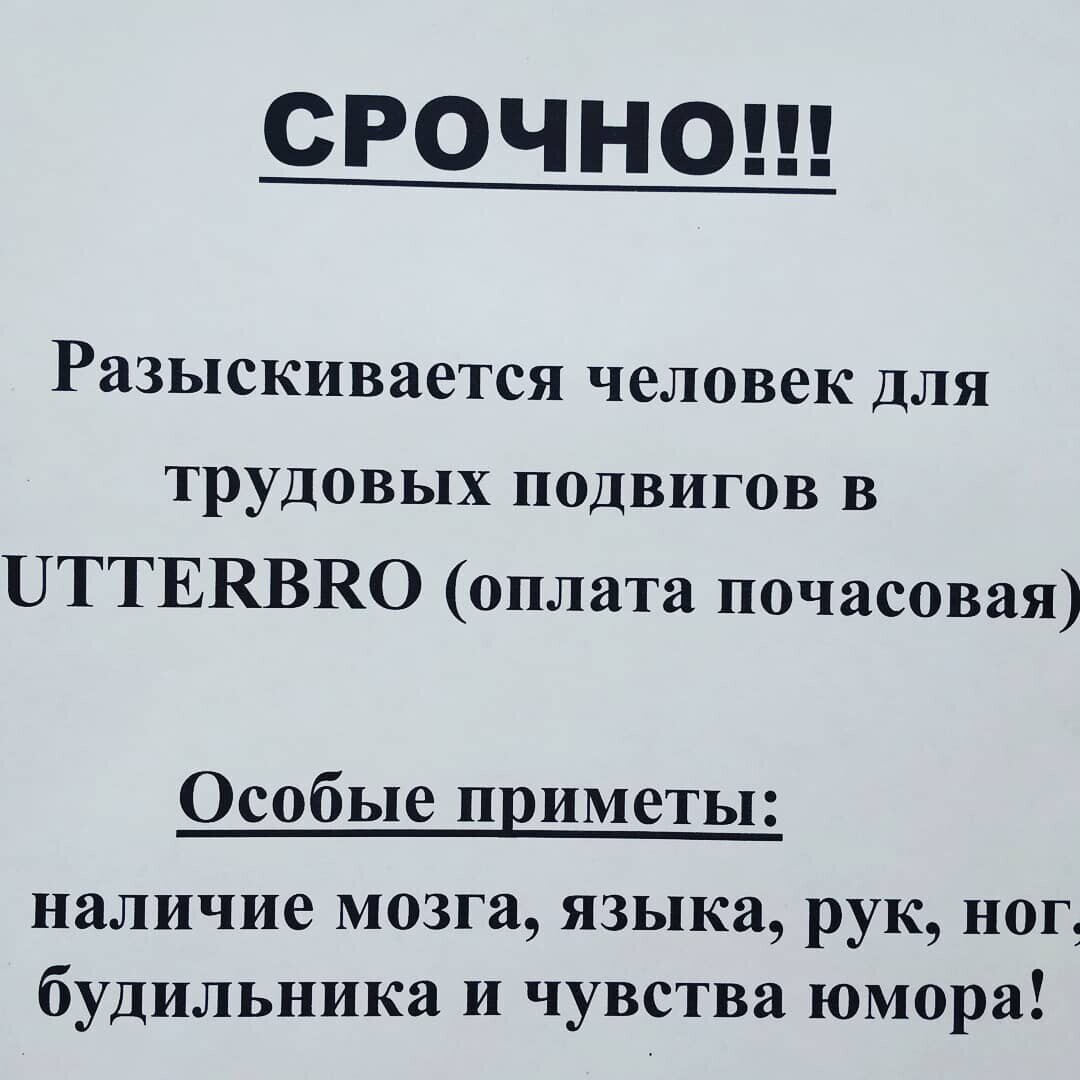 🤣 Смешные ОБЪЯВЛЕНИЯ о работе или заработке. Когда деньги - не главное |  Призма жизни | Дзен