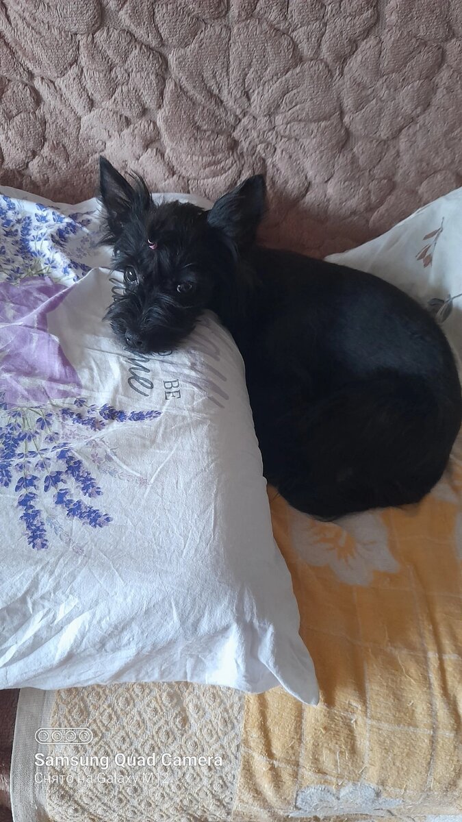 Спустя год...