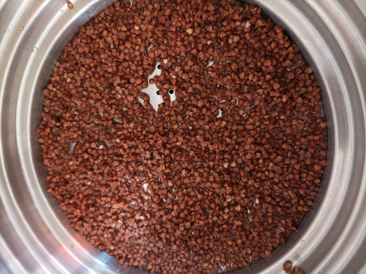 Гречка нежится на дне пароварки. Фото автора