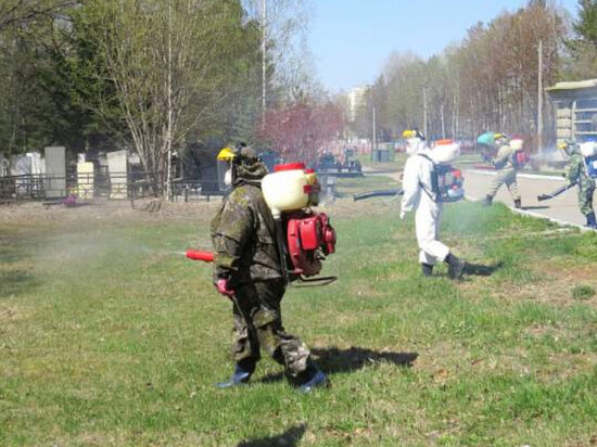     В Хабаровске пройдет акарицидная обработка городских территорий ФОТО: мэрия Хабаровска