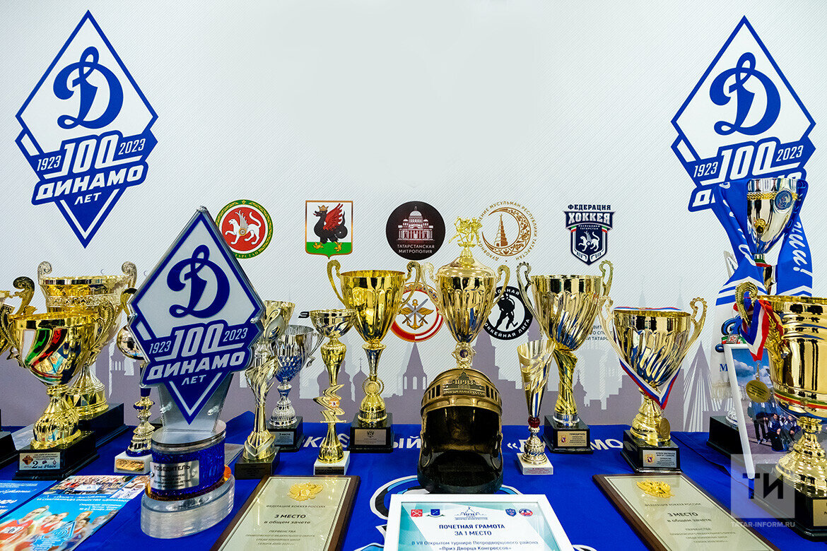 ​На сегодняшний день «Динамо» охватывает всю территорию России. За свою столетнюю историю там подготовили сотни олимпийских чемпионов и чемпионов мира и Европы. Фото: © Салават Камалетдинов / «Татар-информ»