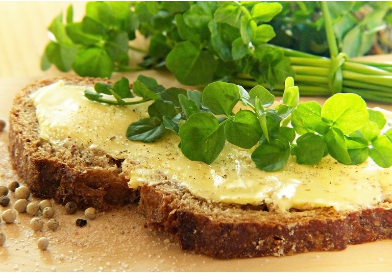 https://cdn.pixabay.com/photo/2017/03/16/09/27/watercress-2148556_960_720.jpg