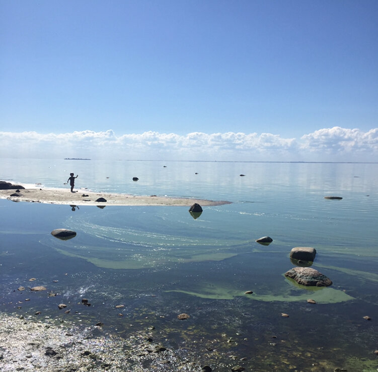 Финский залив возле ресторана "Русская рыбалка", фото автора