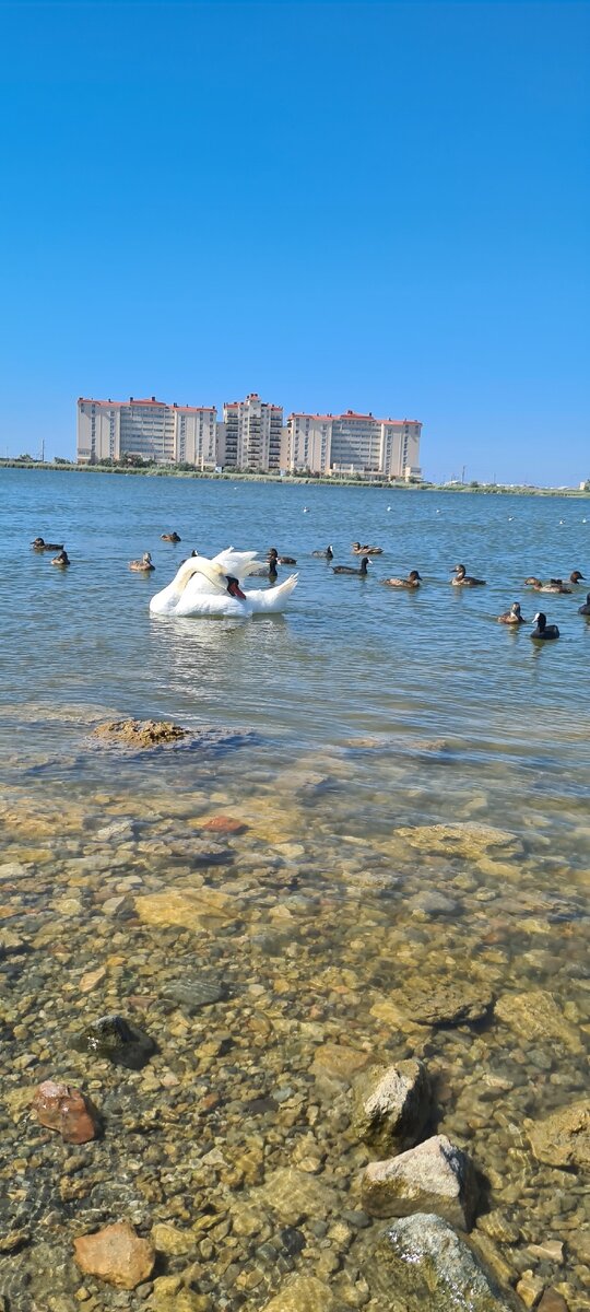 КРЫМ В ЭТОМ ГОДУ ПОДВЕЛ ЦЕНАМИ И ХОЛОДНЫМ МОРЕМ. Фотография из личного архива