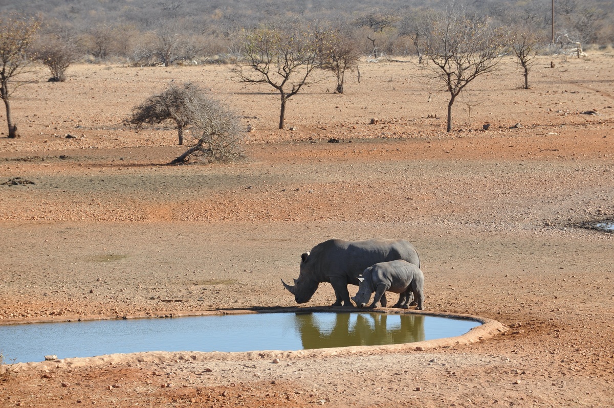 Safari lodge, Namibia