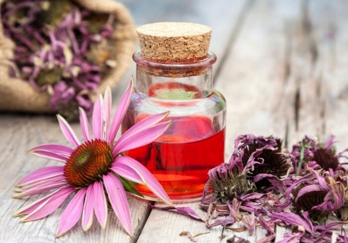 Наиболее часто эхинацею принимают в виде настойки