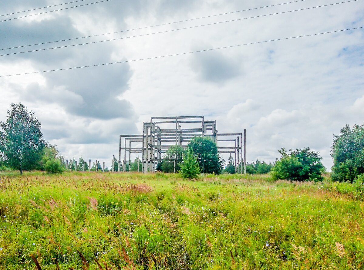 Нашли за городом 