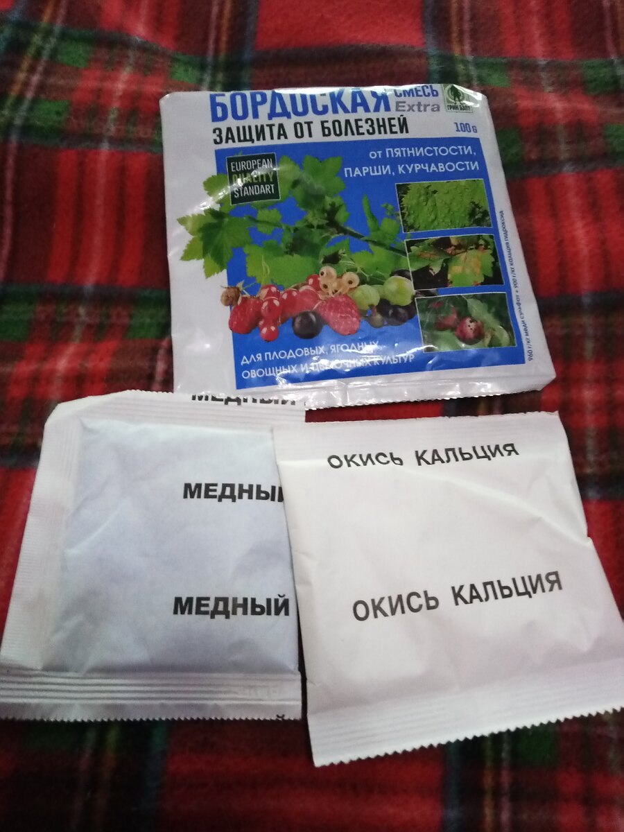 Бордосская смесь сколько времени до дождя. Бордосская смесь для опрыскивания деревьев весной. Бордосская смесь цвет. Обработка бордосской смесью весной. Бордосская смесь для опрыскивания помидоров.