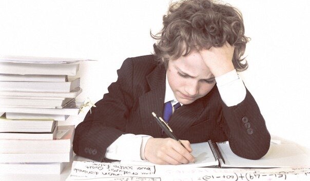 Школьное образование