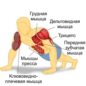 Отжимания