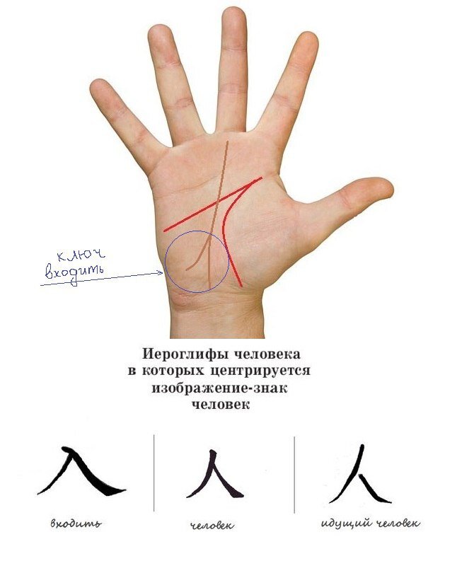 Хиромантия линии и их значения. Хиромантия линии и их значения