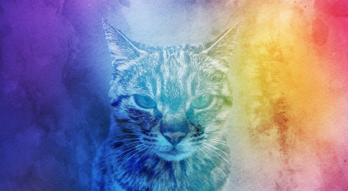 Фото из свободного источника Pixabay.com