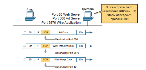 Поля заголовка TCP