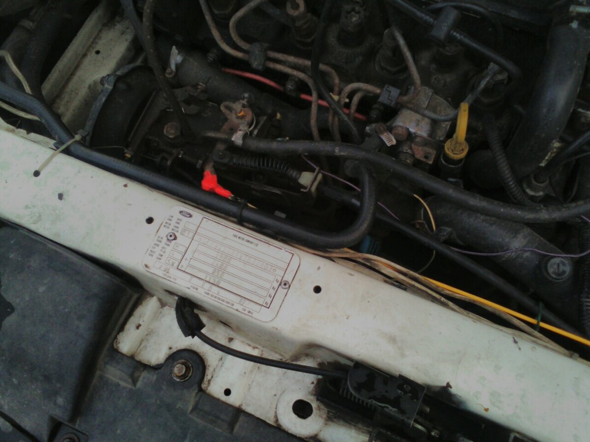 Фото автора. Леска для триммера вместо порванного тросика газа.