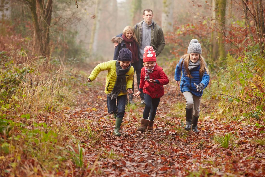 Заняться четверо. Прогулки на свежем воздухе. Осень для детей. Прогулка в осеннем лесу. Семья на прогулке в лесу.