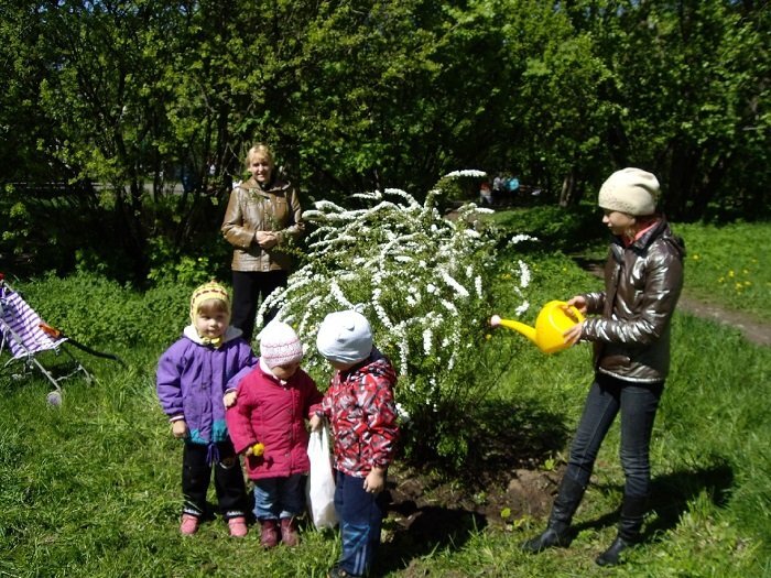 В сквере на набережной Строителей. Фото из ВК-группы "Деревья Петербурга"