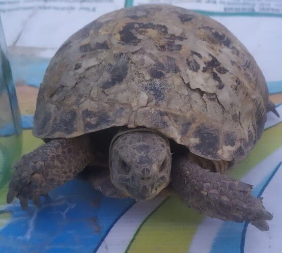 но по-прежнему строга и самостоятельна:)