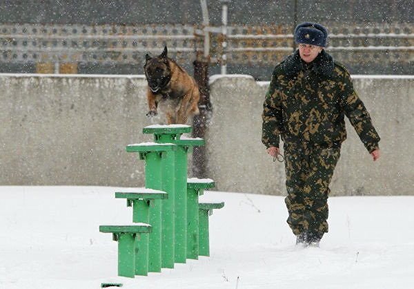 Проведения отработки навыков.