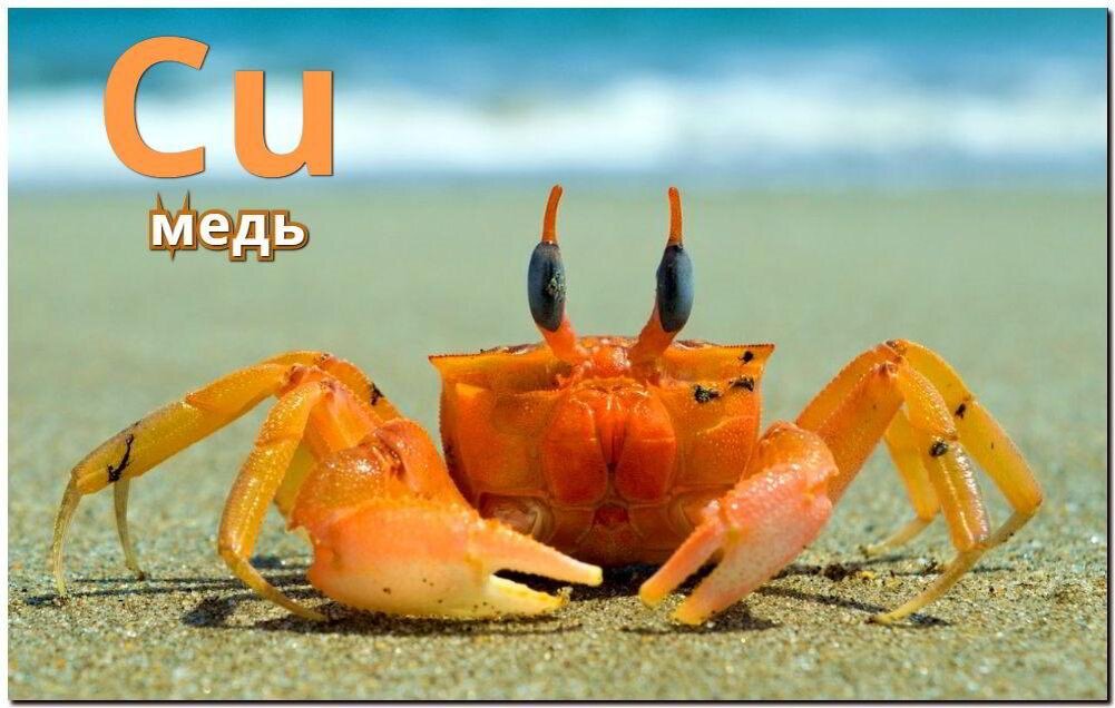 Медь. Описание
