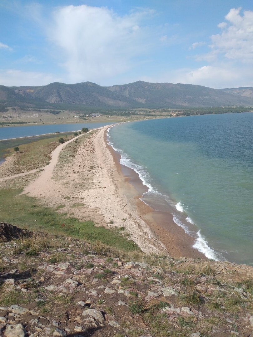 Мыс Уюга, на котором растут эндемичные желтые маки Петрова.