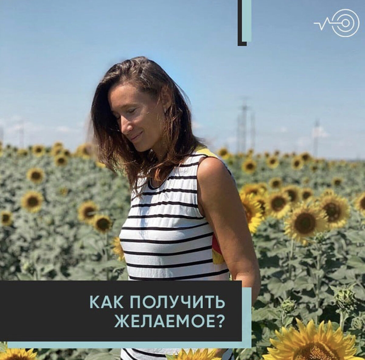 Поле подсолнухов в Ростовской области