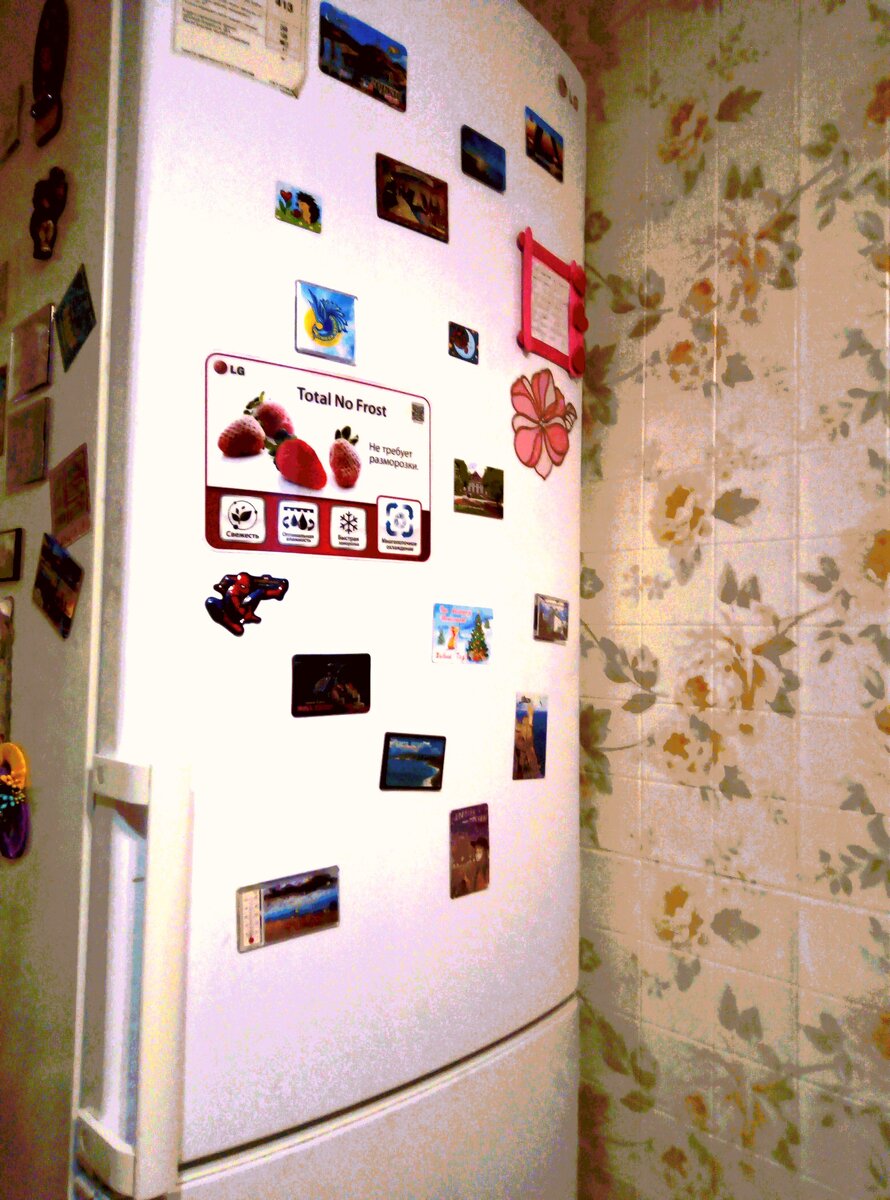 Вот наш холодильник.