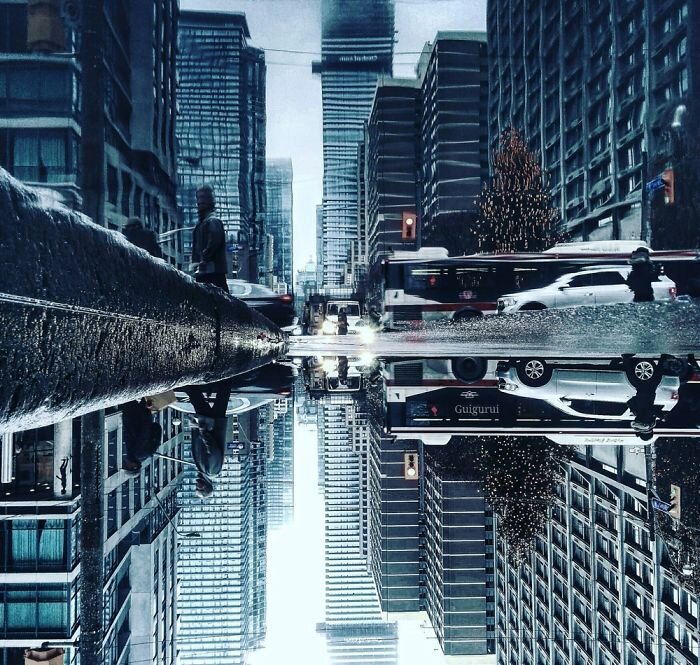 Фото с сайта https://www.boredpanda.com/the-parallel-worlds-of-puddles-of-toronto/