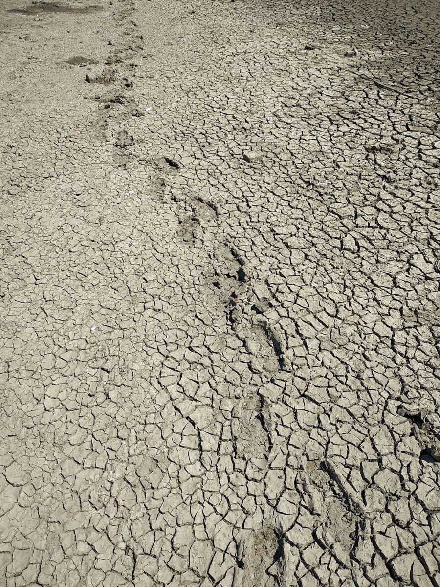 Обмелевшее  Краснодарское водохранилище