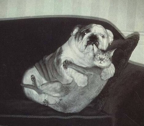 Картинка из открытого источника