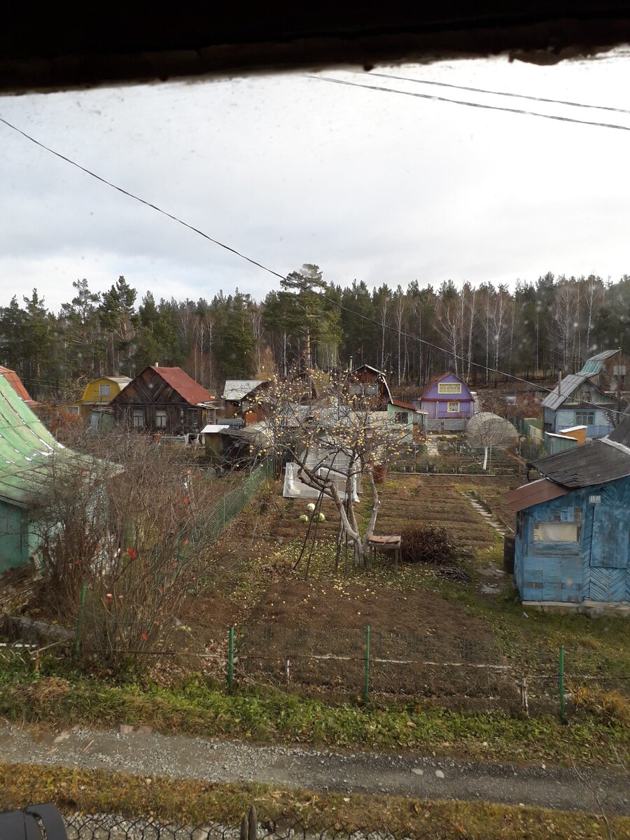 Сад опустел. Фото автора