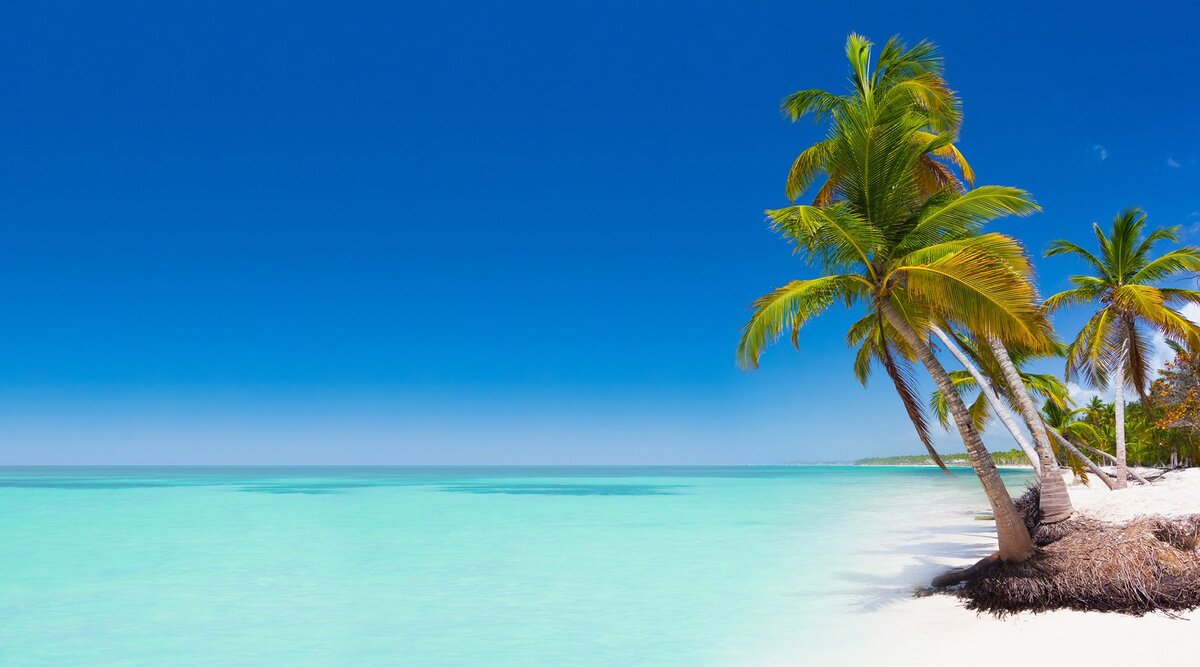 Источник фото https://w-t.com.ua/news/dominikana-top-10-plyazhey