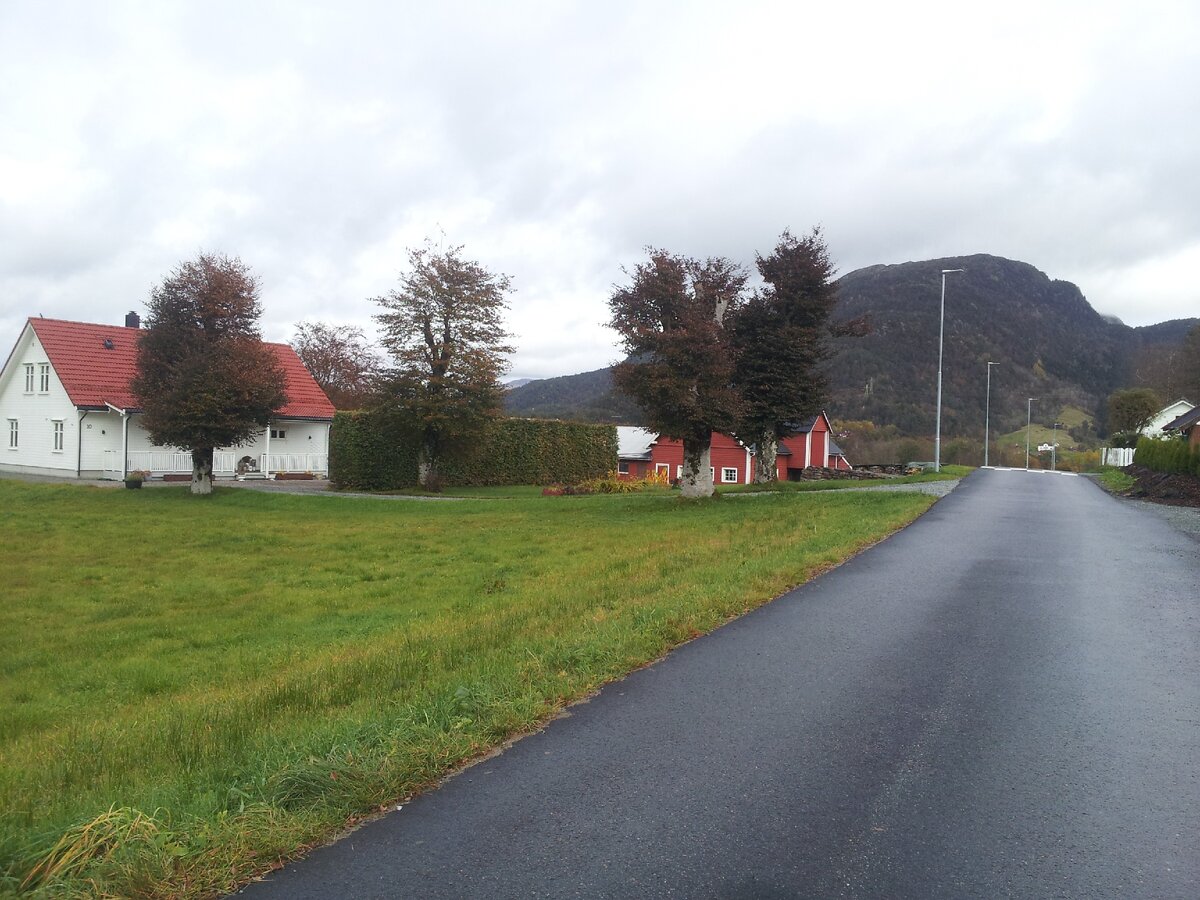 Сельская дорога. Фото автора.