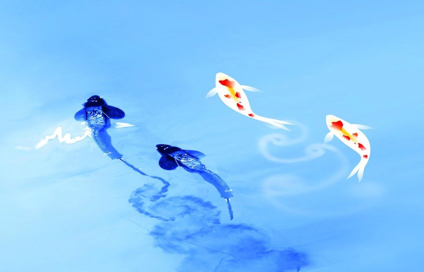 Роботы-рыбы продемонстрировали пользу плавания в стае
