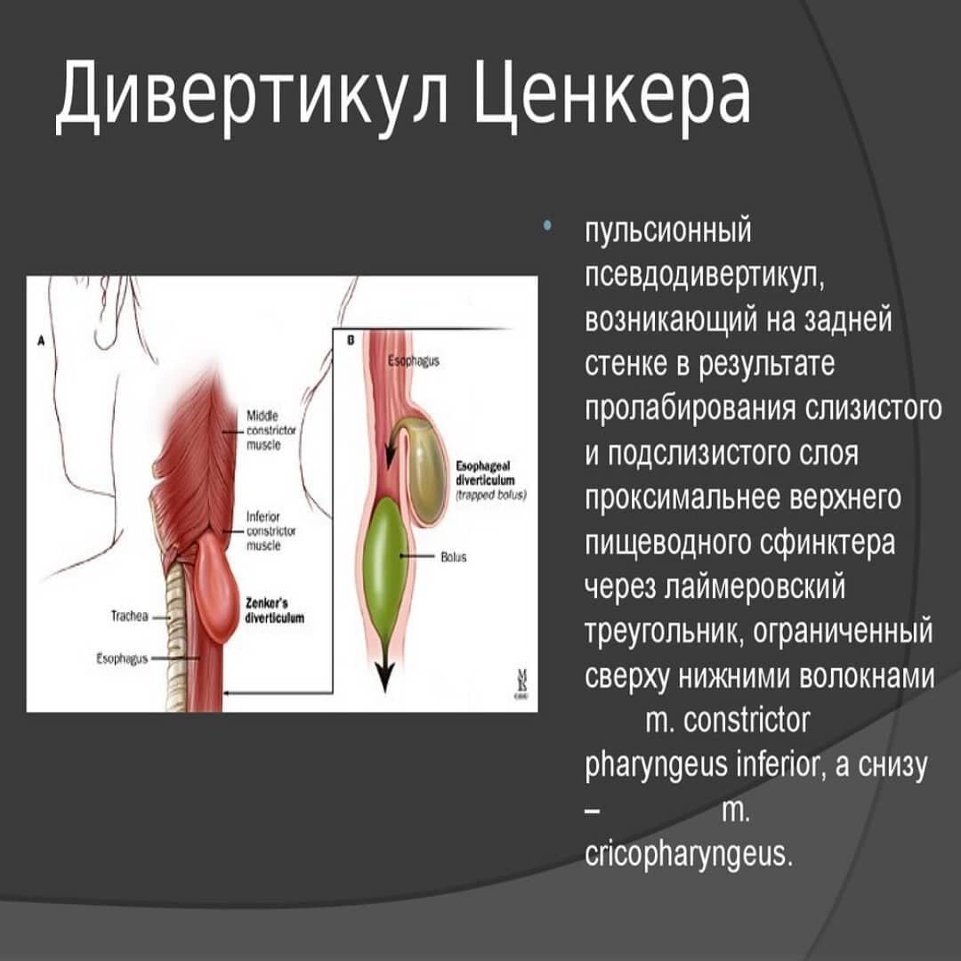 Из открытых источников.