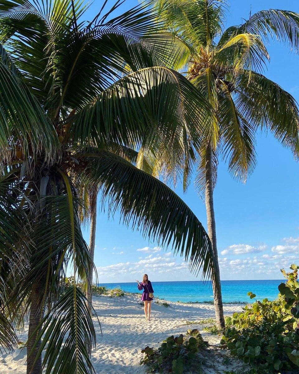 Больше  фото и постов из моей жизни в инстаграм bazinga.anna