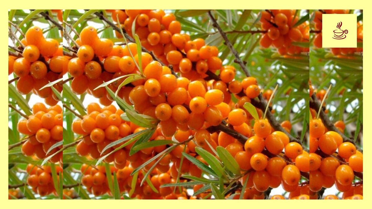 Поставьте лайк и подпишитесь на канал :)