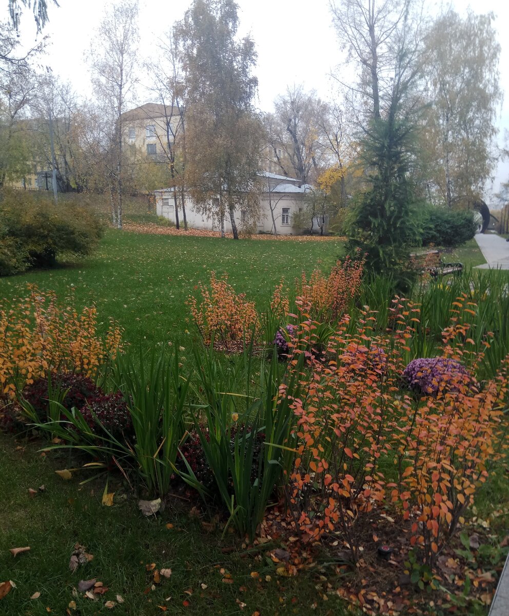 Осенняя природа. Фото автора. 