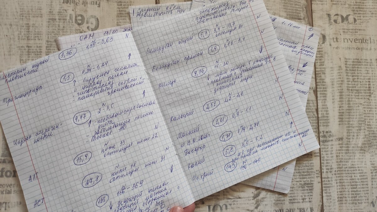 Вот так выглядели рукописи Елены