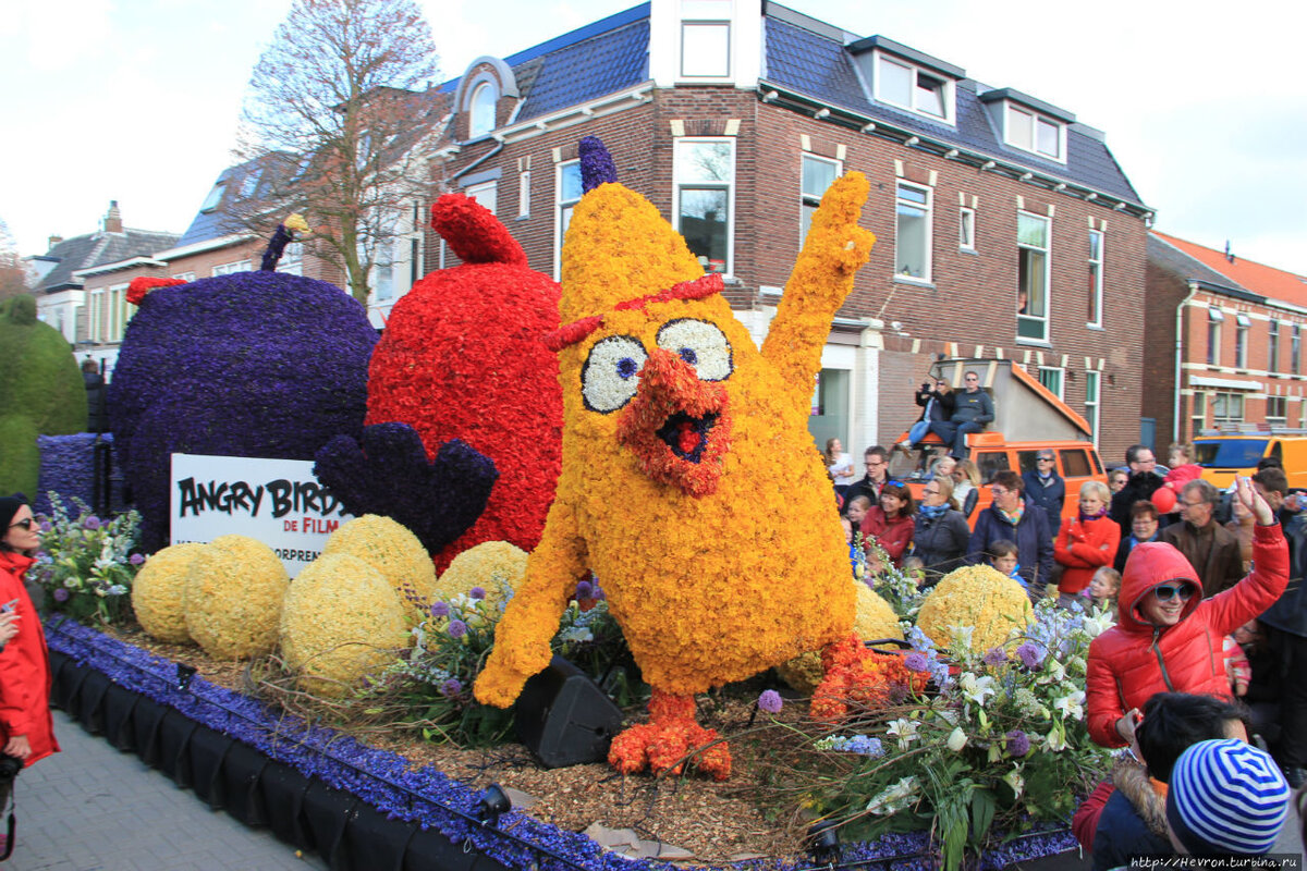 Цветочный фестиваль Bloemencorso в Нидерландах