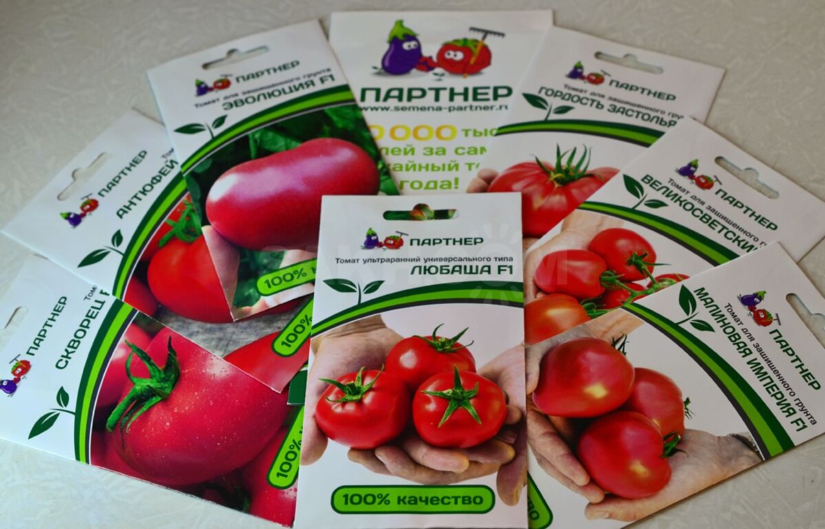 Купить томаты от производителя. Семена помидор Агрофирмы партнер. Семена томатов фирмы партнер. Томаты фирмы партнер Мирандолина. Семена партнёр интернет магазин томаты.