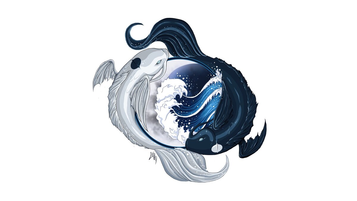 Avatar Koi Fish: The Original Water Benders Redux By Znapple On DeviantART