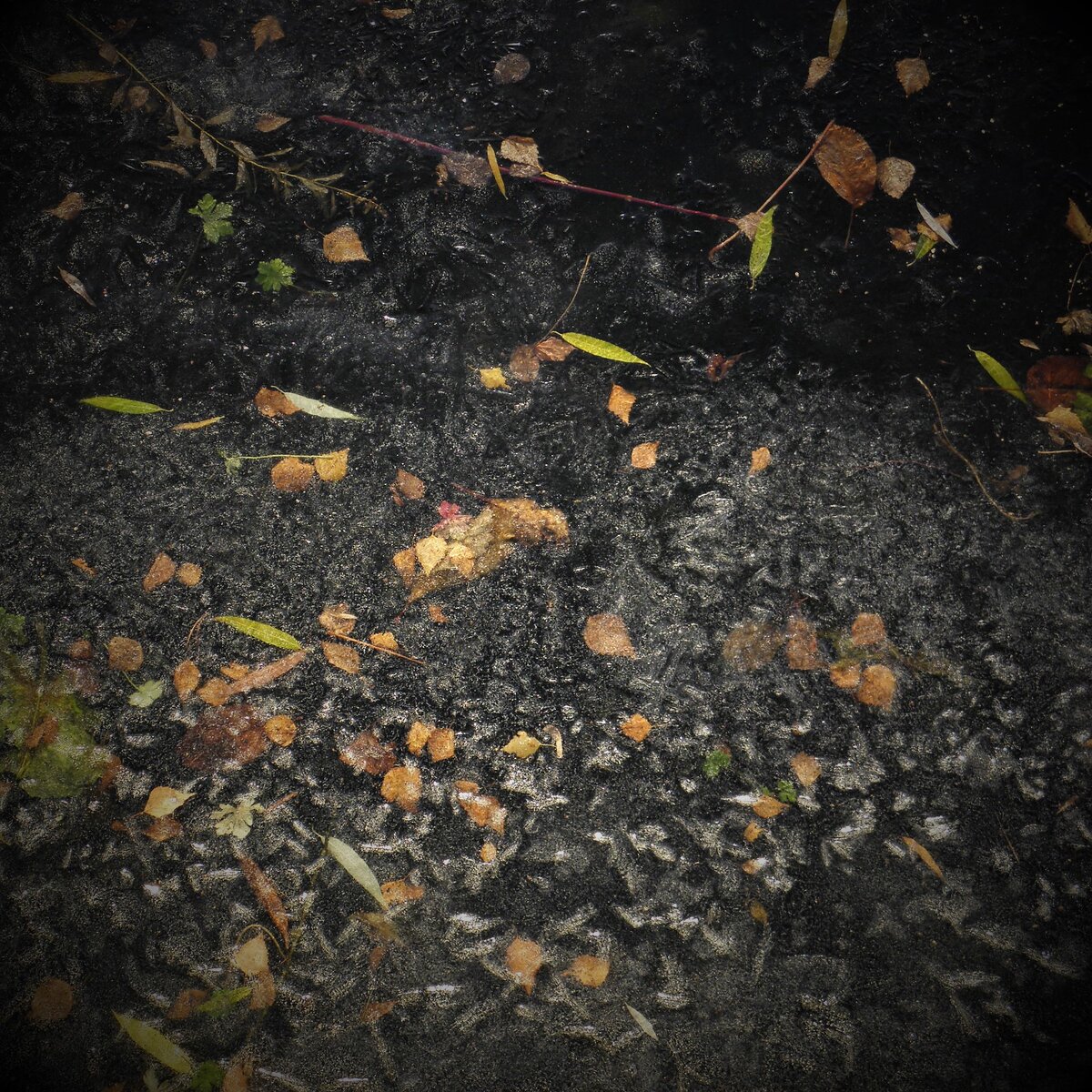 Фотографии авторские.