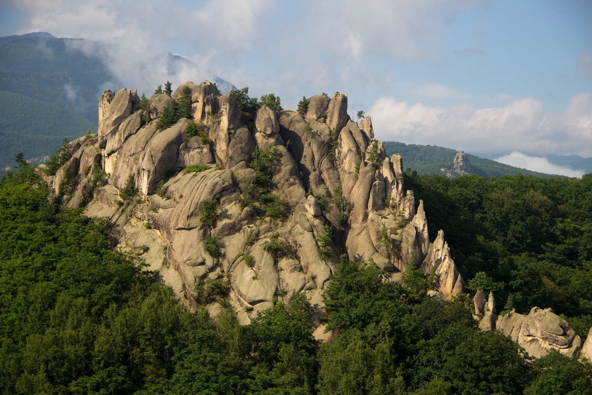 Парк драконов фото