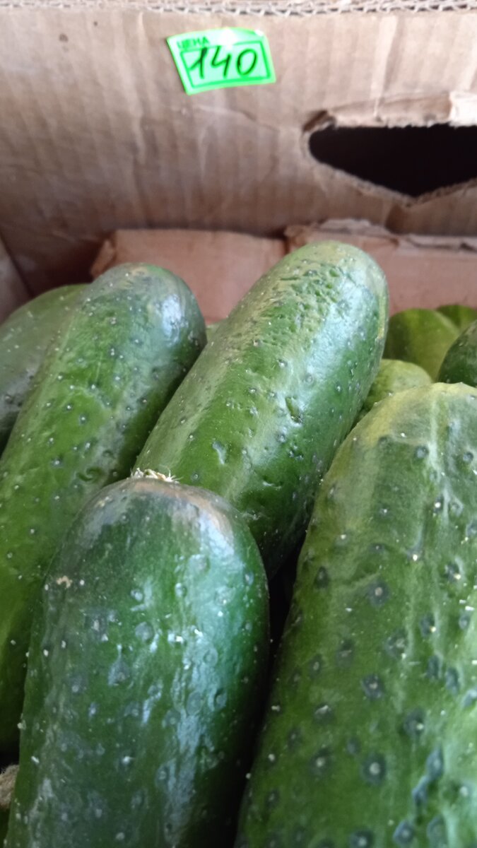 огурчики местные, тепличные уже. на грунте заморозки до минус 7