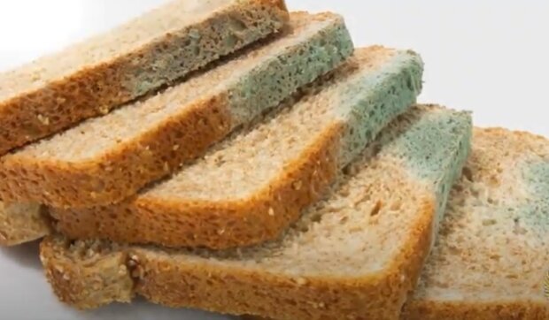 Фото с сервиса Яндекс.Картинки