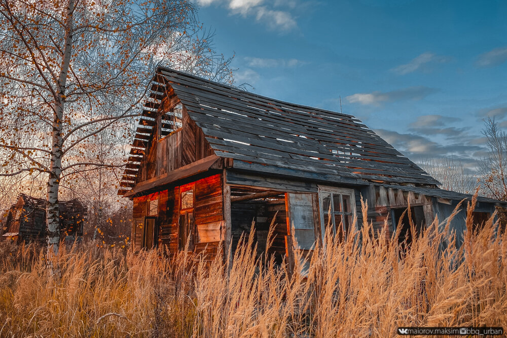 Фото заброшенных дачных участков